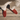 Maroon Loafers